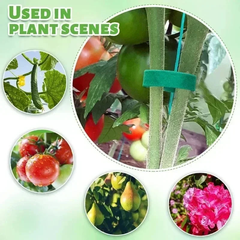 Self Adhesive Plant Nylon Cable Tie Plants Hook