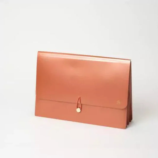 Expandable magnetic file box