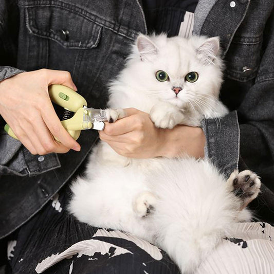 🐶 Safe Stainless Steel Pet Nail Clipper & Trimmer 🐾✂️