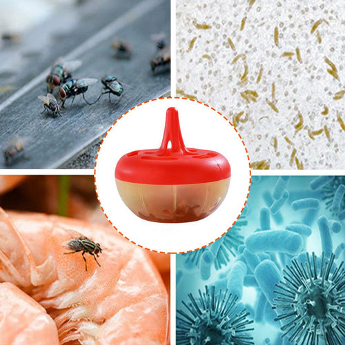 Mini Fruit Fly Trap Bottle