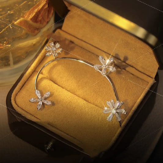 Silver Plated Metal Ear Bone Cli