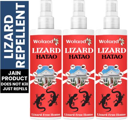 DUSTKICK Lizard Hatao killer effect