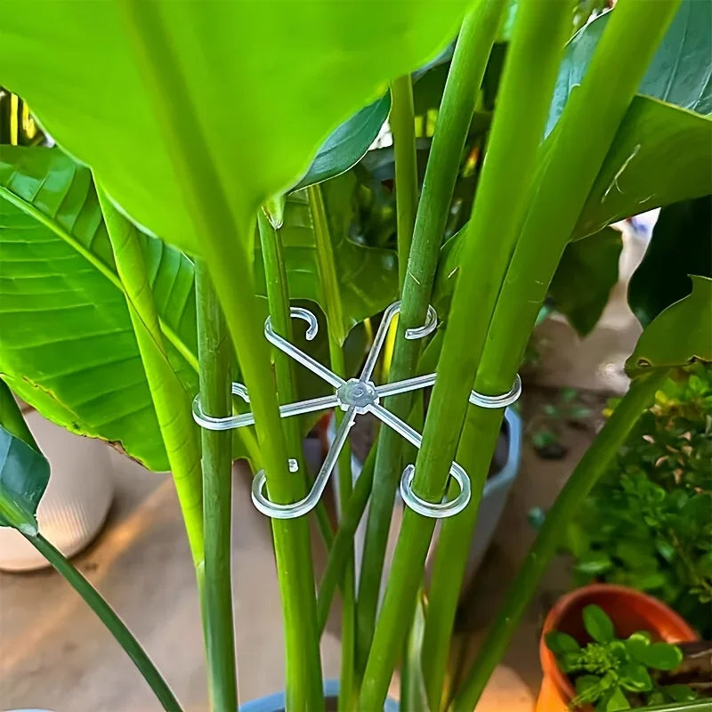 Flower Plant Stem Support