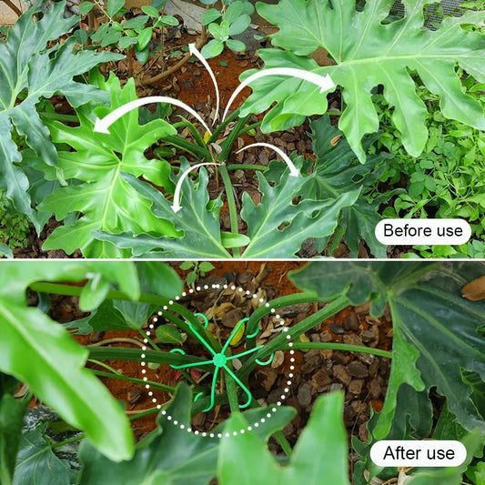 Flower Plant Stem Support