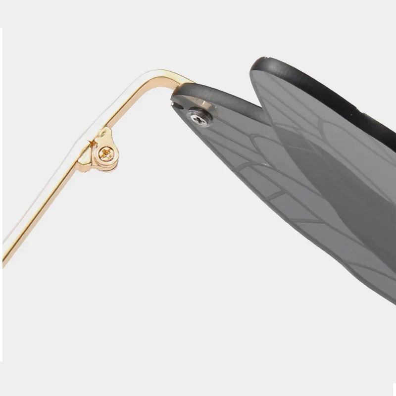 Dragonfly Wing Sunglasses