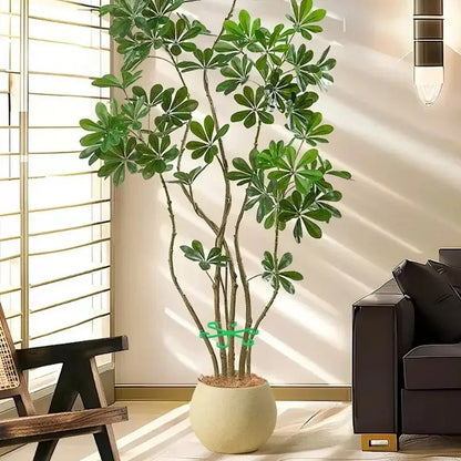 Flower Plant Stem Support