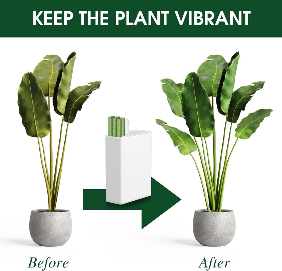 Plant Growth Food Sticks