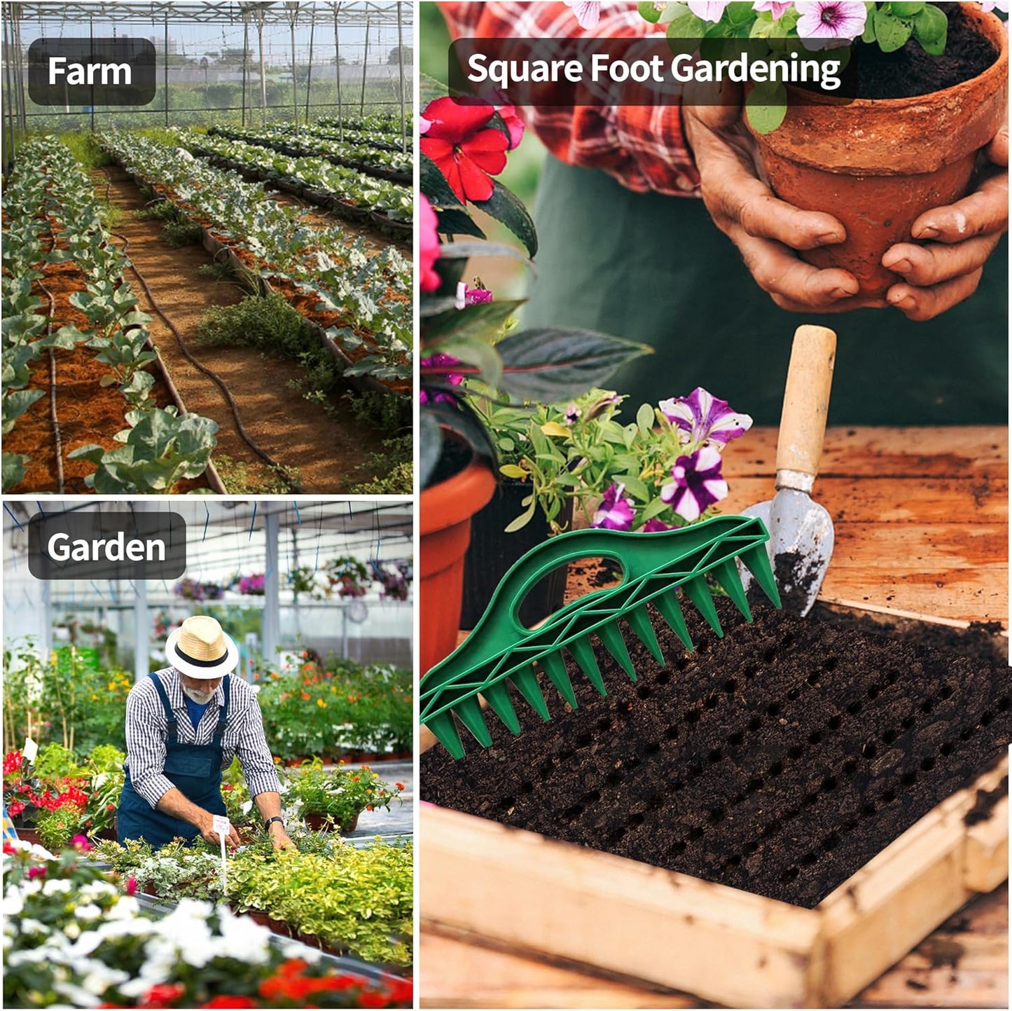 🌱 12-Hole Seed Drill (Seeder) 🌼for growing vegetables and flowers