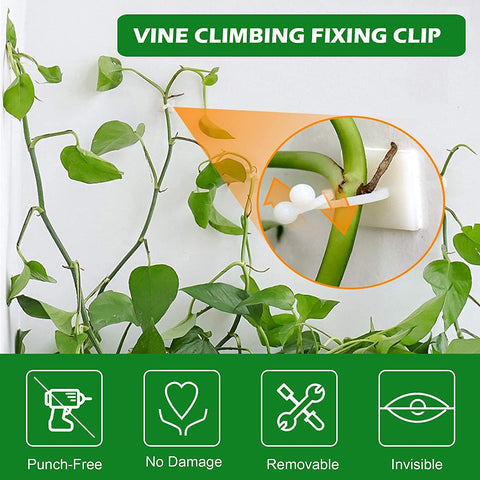 3-IN-1 PLANT CLIMBING CLIPS