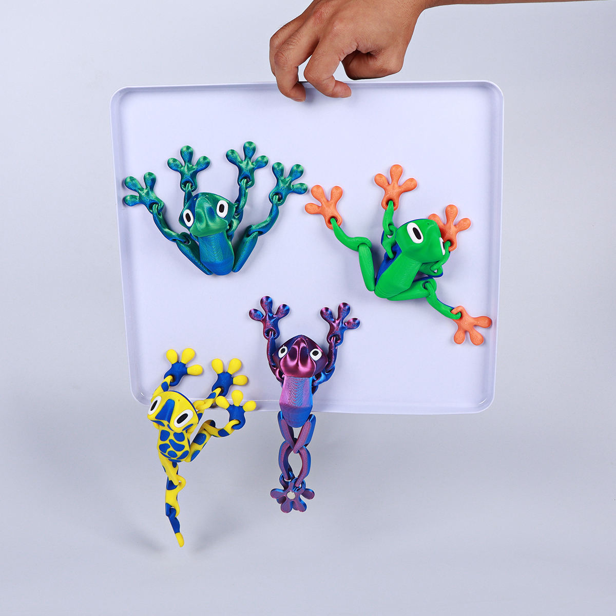 🐸3D Printed Magnet Frog Toy✨