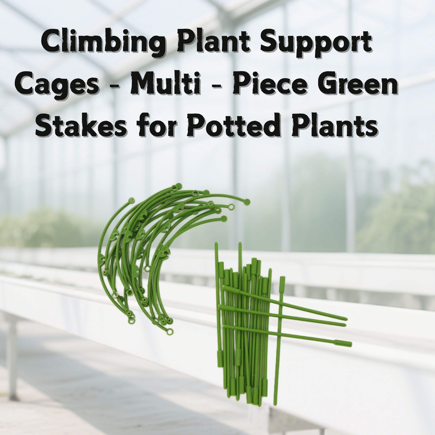 🌿 Plant Growth Support Tool