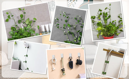 Multi-Purpose Sticky Support Clips for Cords, Wires & Plant Stems