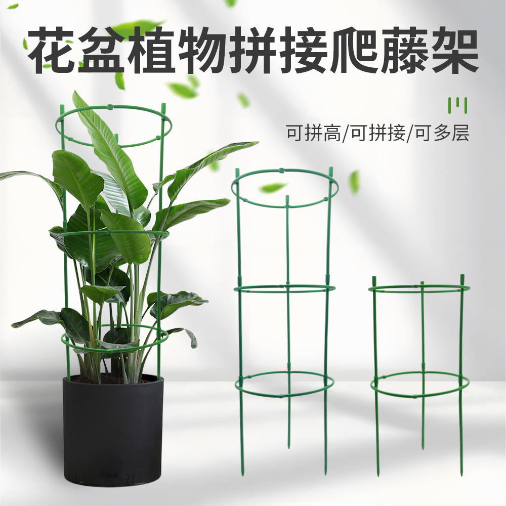 🌿 Plant Growth Support Tool