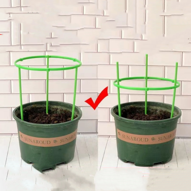 🌿 Plant Growth Support Tool