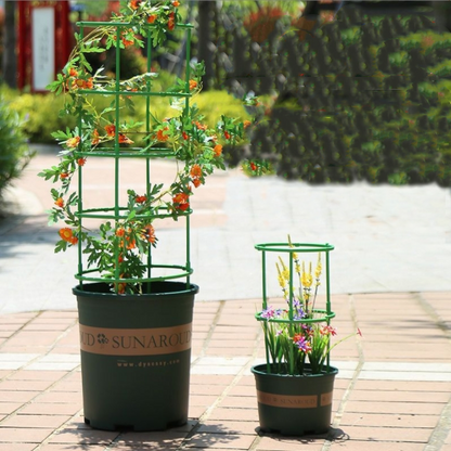 🌿 Plant Growth Support Tool