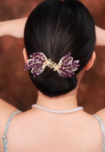 🤩Beautiful Hair Disk🤩