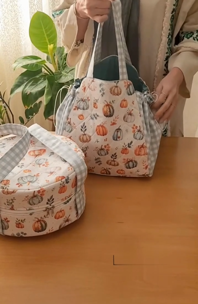 Pot cover and picnic bag Dish cover