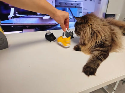 Rotating Cat Spinner 🐱✨