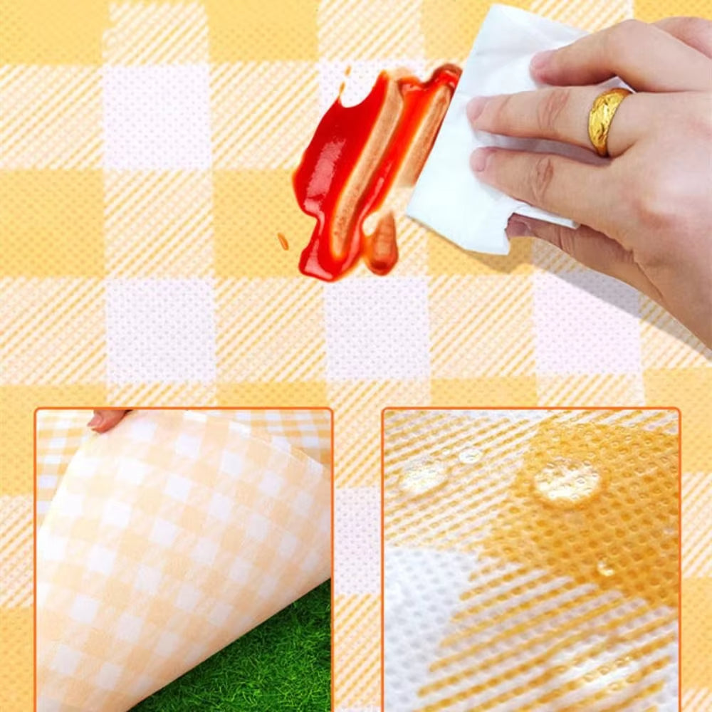 Portable Outdoor Picnic Mat