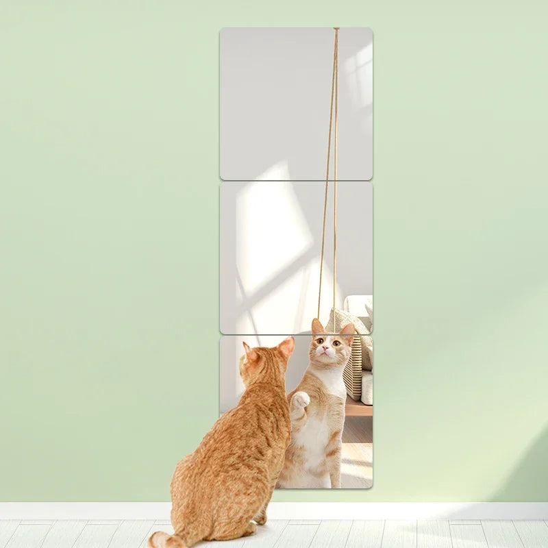 Self Adhesive Full Body Wall Mirror