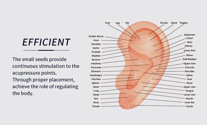 Acupressure Ear Seeds 🌿👂