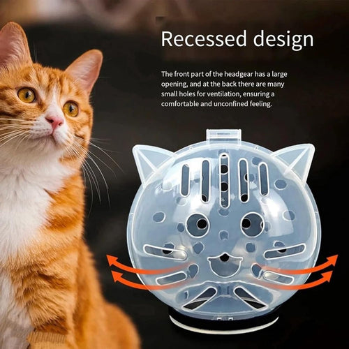🐱Cat Transparent Mask
