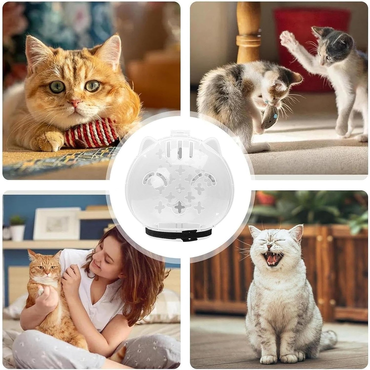 🐱Cat Transparent Mask