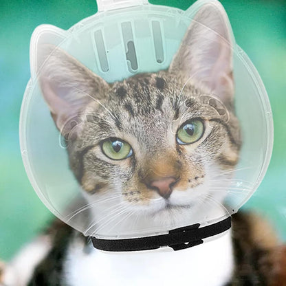 🐱Cat Transparent Mask