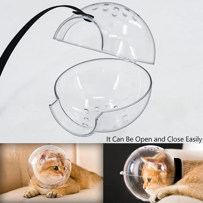 🐱Cat Transparent Mask