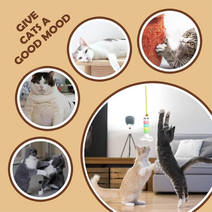 Interactive Pet Toy (Yoyo Ball + Feather) 🐱🎾
