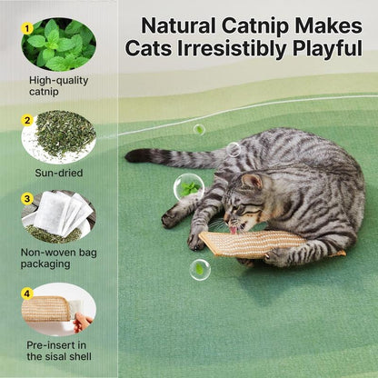 🔥🐱Interactive Catnip Chew Toy
