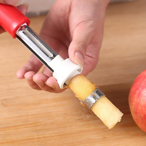 2 in 1 Corer Remover