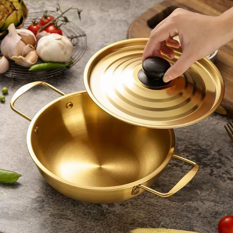 Stainless Steel Cooking Pot (With Lid)