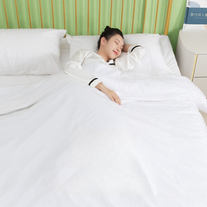 Disposable Bedsheet